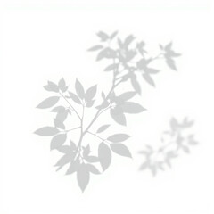 shadow overlay effect. Gray shadow of leaves isolated on white background. Plant foliage leaf shadow light effect. Mockup Blurred tree branch shadow. Ideal for summer spring design elements PNG