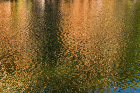 Detail shot of water with ripples and green and orange tones