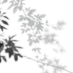 shadow overlay effect. Gray shadow of leaves isolated on white background. Plant foliage leaf shadow light effect. Mockup Blurred tree branch shadow. Ideal for summer spring design elements PNG