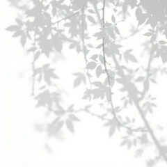 shadow overlay effect. Gray shadow of leaves isolated on white background. Plant foliage leaf shadow light effect. Mockup Blurred tree branch shadow. Ideal for summer spring design elements PNG