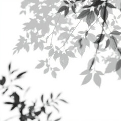 shadow overlay effect. Gray shadow of leaves isolated on white background. Plant foliage leaf shadow light effect. Mockup Blurred tree branch shadow. Ideal for summer spring design elements PNG