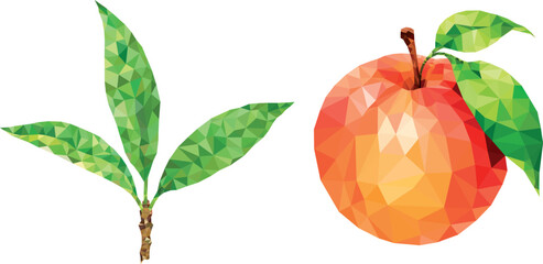 Modern polygonal fruit