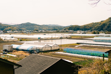 Greenhouse in rice fields on Shikoku Island, Japan