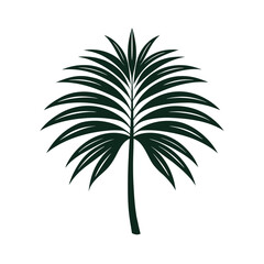 Obraz premium palm tree leaf black color icon on white background