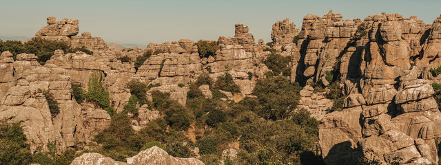 Limestone rock formations like pillars between green vegetation under a blue sky. National park El...