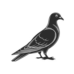 vector illustration of a bird
