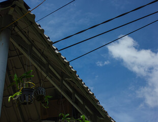 A low-angle view of a roof with hanging orchids, with power lines crossing a blue sky. An image of...
