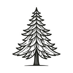 pine tree line art vector on white background