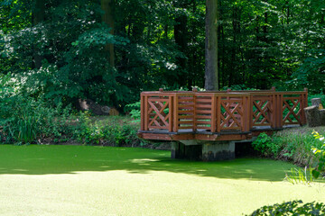 Wooden platform with decorative railing over a green pond, surrounded by dense forest on a sunny...
