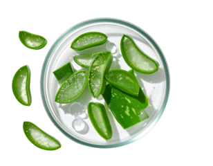  Aloe Vera in Glass Bowl Surrounded by Water Drops – Isolated on White Background