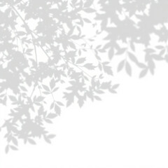 shadow overlay effect. Gray shadow of leaves isolated on white background. Plant foliage leaf shadow light effect. Mockup Blurred tree branch shadow. Ideal for summer spring design elements PNG