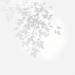 shadow overlay effect. Gray shadow of leaves isolated on white background. Plant foliage leaf shadow light effect. Mockup Blurred tree branch shadow. Ideal for summer spring design elements PNG