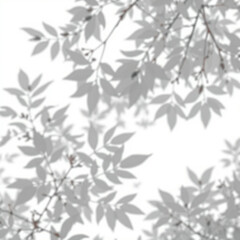 shadow overlay effect. Gray shadow of leaves isolated on white background. Plant foliage leaf shadow light effect. Mockup Blurred tree branch shadow. Ideal for summer spring design elements PNG