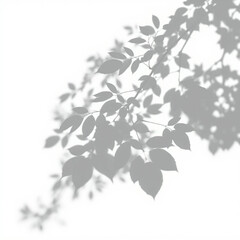 shadow overlay effect. Gray shadow of leaves isolated on white background. Plant foliage leaf shadow light effect. Mockup Blurred tree branch shadow. Ideal for summer spring design elements PNG