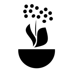 Boho style flower in pot
