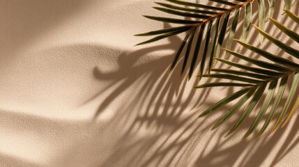 Obraz premium Palm frond shadow on beige textured background