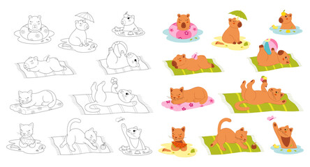 9.Large set with cute cats and capybaras on the beach