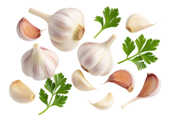 Fresh garlic bulbs and parsley leaves isolated on white high quality culinary ingredients