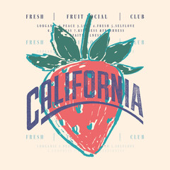 vector strawberry fruit print design. summer fresh fruit. vintage retro graphics. in vector. girls graphics design. t-shirt design for men's women's girls and boys © MdAlImran