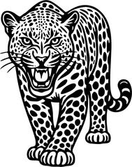 leopard vector illustration, isolated on white