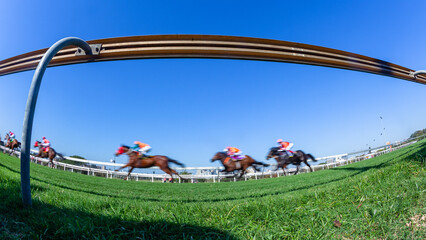 Horses Riders Racing Grass Track Motion Speed Blur