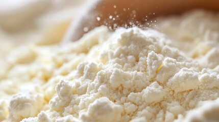 Dairy processing plants often have specialized equipment to produce milk powder