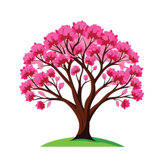 Obraz premium redbud tree vector art