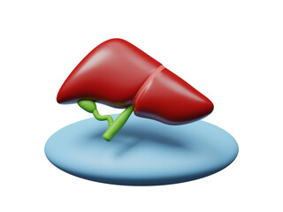 Anatomical liver icon isolated on transparent background, Concept for medical, pharmacology, transplant, surgery and doctors with organ in hospital for medical service. Charity donation. 3d rendering