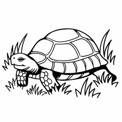  Tortoise Outline – Black and White Vector Animal