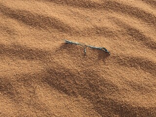 Orange color sand texture pattern background. Wadi Rum desert, Jordan,Arabia scenic beautiful panorama,Close-up of redorange sand on desert