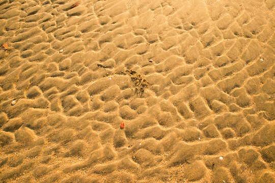 Detail shot of heavily patterned yellow beach sand with orange leaf