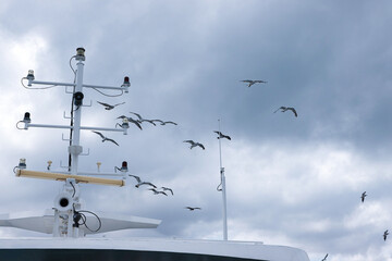 A Scenic View of a Ship's Mast Under a Partly Cloudy Sky as Seagulls Soar Above, Capturing the...