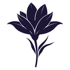 mezereon saffron flower silhouette-on-white