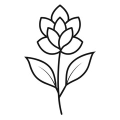 milkwort-flower vector isolated line-art-on-white-background