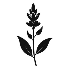 milkwort flower silhouette vector illustration on-white-background