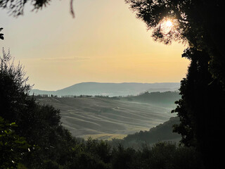 Sunset over rolling hills in Tuscany, Italy – framed by trees and olive branches
