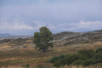 Landscape of early autumn in the steppe foothills of Kazakhstan. Kazakhstan low hills, Monastery mountains in East Kazakhstan region