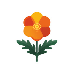 Orange California Poppy Flower Isolated on a Transparent Background 