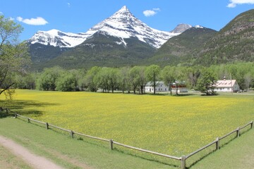 Mountain meadow with wildflowers