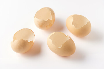 Cracked Raw Eggshell on White Background