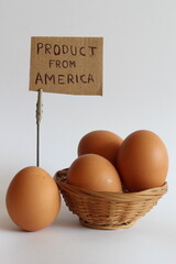 Group of eggs with a 