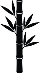 Obraz premium bamboo shoot on white background.eps