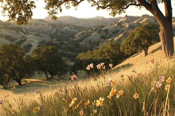 Sun-drenched valley vista, rolling hills and wildflowers. Lush greenery, golden grass, and distant mountains