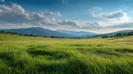 Obraz premium Expansive grassy meadow stretches towards a distant mountain range under a partly cloudy sky