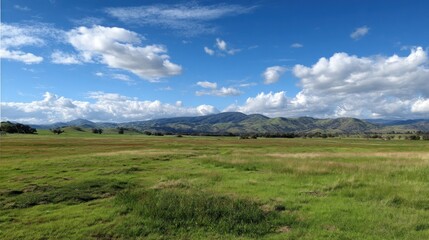 Vast, grassy plains stretching to distant mountains under a vibrant blue sky