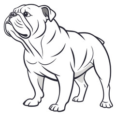 Fototapeta premium Cute, purebred bulldog puppies and a mature bulldog, isolated on white