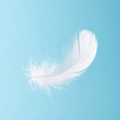 White Feather on Light Blue Background