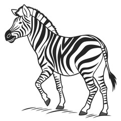 Black and white striped zebra mammal standing in profile, a wild animal illustration isolated on a white background