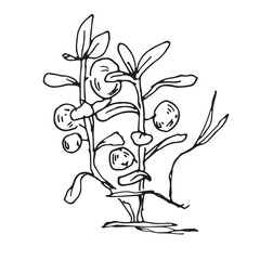 Linear image of Karelian blueberry, northern marsh berry in sketch style