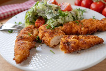 Small chicken schnitzel fresh and homemade cooked with a fresh salad on a plate